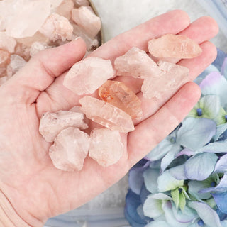 Nirvana Quartz Mini - Specimens