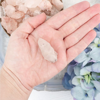 Nirvana Quartz Mini - Specimens