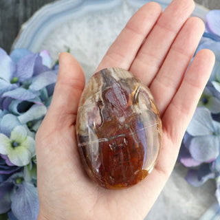 Petrified Wood Palmstone - Large - Palmstones