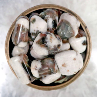 Polarity Moonstone Pebble - Pebbles