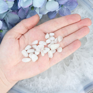 Rainbow Moonstone Mini Tumble Set - Tumbles