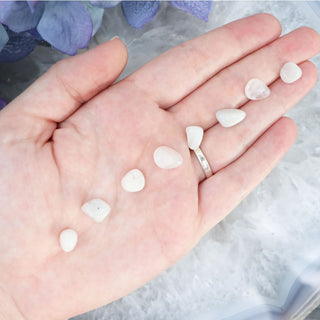 Rainbow Moonstone Mini Tumble Set - XS (Set of 3) - Tumbles