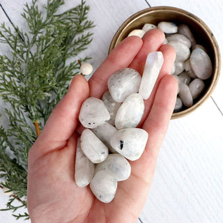 Rainbow Moonstone Tumble - Tumbles