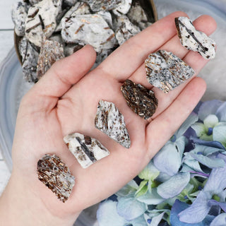 raw-astrophyllite-small-specimens-450.jpg