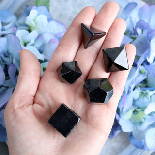 Shungite Platonic Solid Set - Carvings