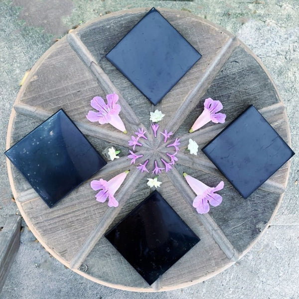 Shungite Tile - Carvings
