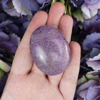 Stichtite + Atlantisite Pocket Stone - Stones