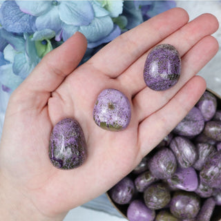 Stichtite Pebble - Large - Pebbles