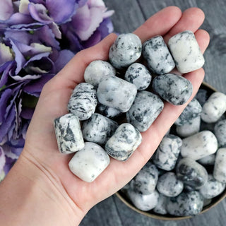 Tourmalinated Quartz Pebble - Pebbles